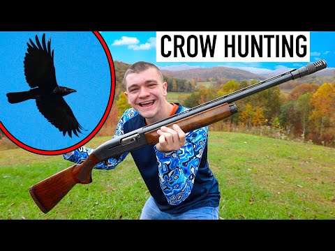 Epic Crow Hunting!