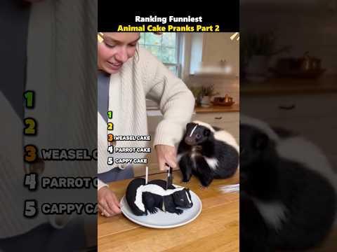 Ranking Funniest Animal Cake Pranks Part 2