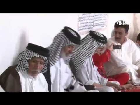 Şehri zehirli yılanlar bastı