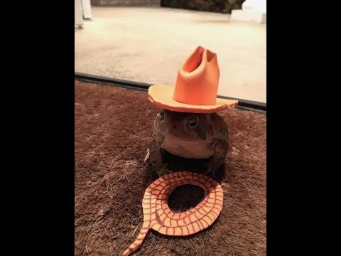 Solo Master Acquisition | Warlock