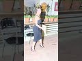 Malaika Arora Hot Look Bollywood News Shorts Malaikaarora Malaikaarorahot Youtubeshorts