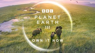 Planet Earth III - Official Teaser