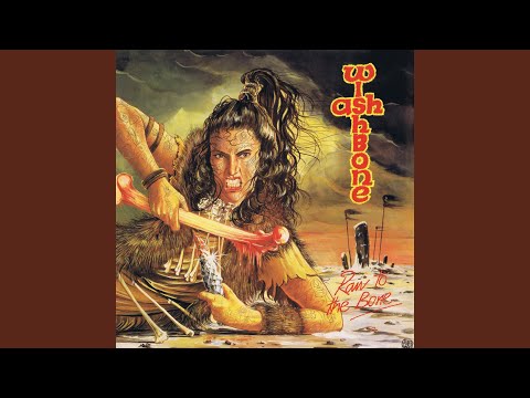 Виниловая пластинка Wishbone Ash – Raw To The Bone (Picture Disc) LP