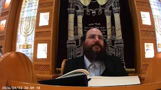 שיעור בזרע שמשון פרשת תזריע ומצורע תשפו הרב יצחק ליכטנשטיין בהכנ גאולת ישראל נס ציונה