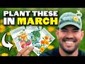 14 Crops You D Be Foolish Not To Plant In March