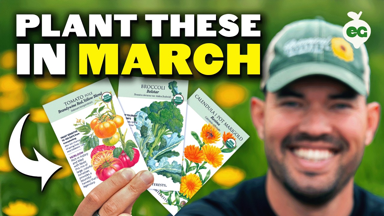 14 Crops You'd be Foolish Not to Plant in March!