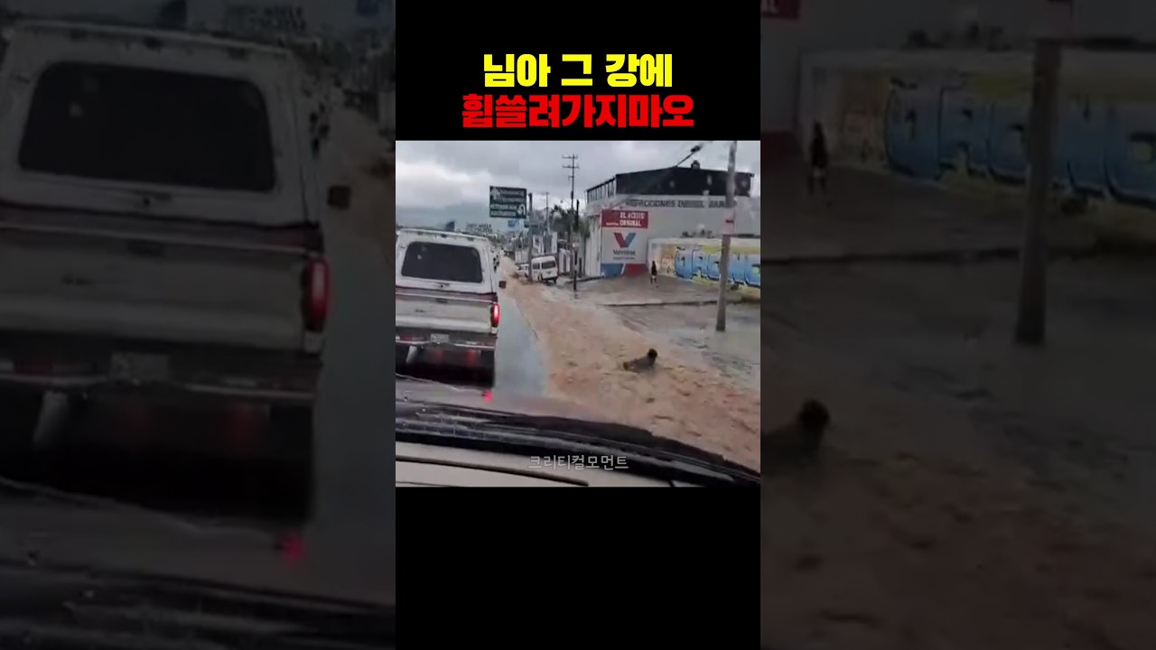 님아 그 강에 휩쓸려가지마오