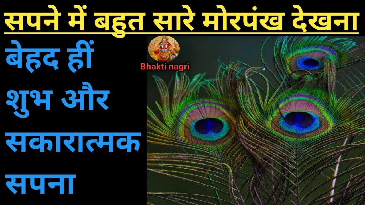 Watch video सपने में बहुत सारे मोरपंख देखना Sapne me bahut sare morpankh dekhna. Now सपने में बहुत सारे मोरपंख देखना Sapne me bahut sare morpankh dekhna.