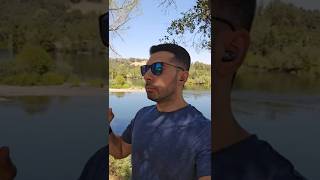 Entry-Level Developer Jobs Disrupted by AI