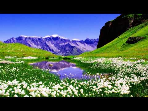 Ciro Visone - Spring Dream (Original Mix) [Vital Soho]