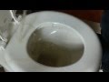 Masterpiece Classics: A Straight Guy Pissing All Over A Toilet Seat