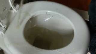 Masterpiece Classics: A Straight Guy Pissing All Over A Toilet Seat