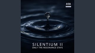 Echo in Silentio (Echo in Silence)