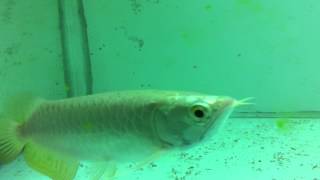 IMG 4535