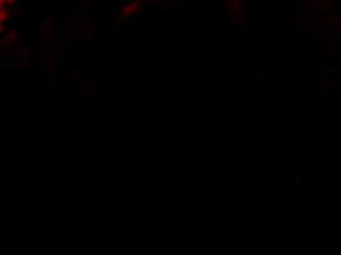 dj chile le flirt hamptons bday bash techno circle 2