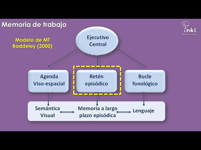 Vídeo relacionado con Memoria de trabajo, pensamiento y acción: Cómo trabaja la memoria: 9 (Nuevo Aprendizaje)