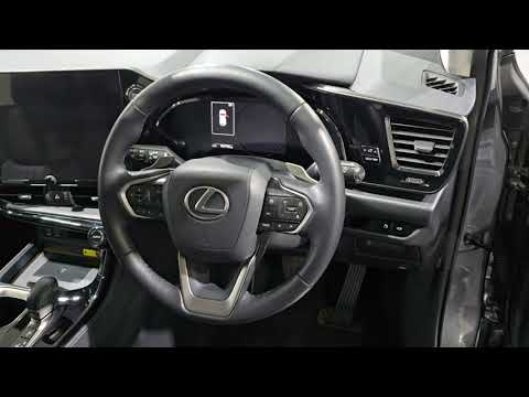 Lexus NX 2.5 PHEV PREMIUM PACK (SUNROOF) 4WD AUTOM - Image 2
