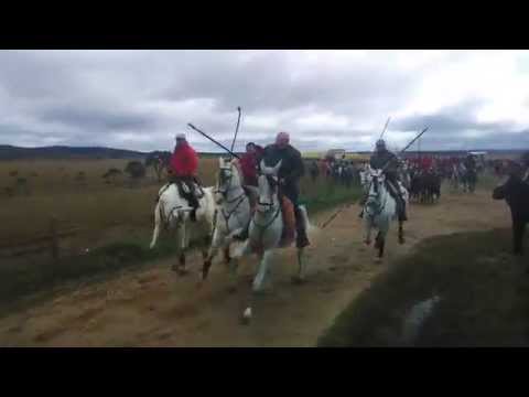 Encierro a caballo, Ciudad Rodrigo 2015