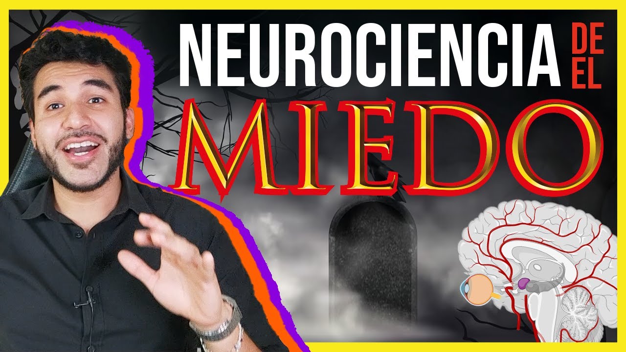 Neurociencia del MIEDO - Fobia, cine y evolución.