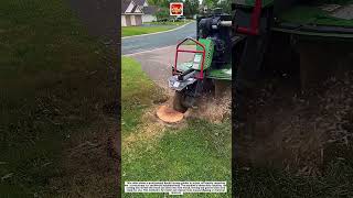 Bandit Stump Grinder – Powerful Tree Stump Removal Machine