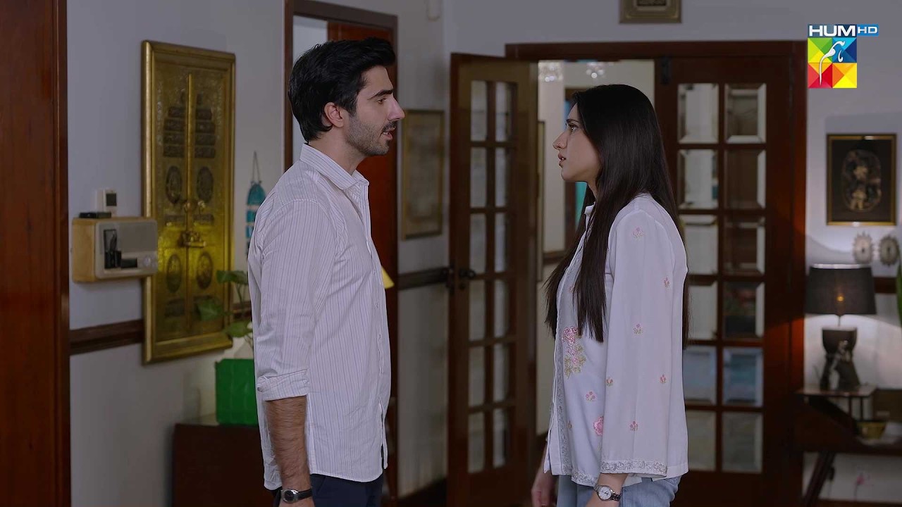 Nokari Karo Gi Toh Talaq Dedunga..!  #hadddrama #minsamalik - HUM TV