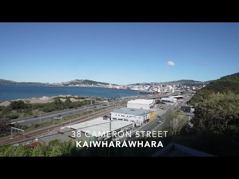 38 Cameron Street, Kaiwharawhara - Wellington (Matt Thorn)