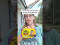 Sour Patch Kis Zombie Halloween Candy Food Review Foodreview Food Halloween Candy