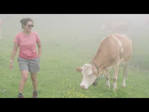 Hiking at Adelboden: Unter dem Birg - Hinter Engstligen - Engstligenalp - Unter dem Birg
