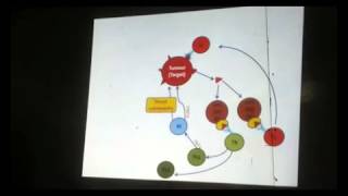 Dr  Mar3e _  Amazing Summarization Of Immunology esp Tumor immunity