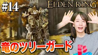 #14【ELDENRING】竜のツリーガードが強い？…やってやりましたよ！！