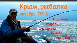 Рыбалка в партените крым на завтра