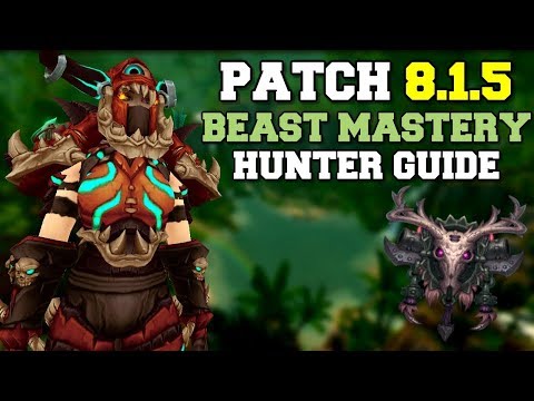 Beast Mastery Hunter DPS Guide 8.1.5 | Talents, Rotation & Stats | World of Warcraft | WoW BfA