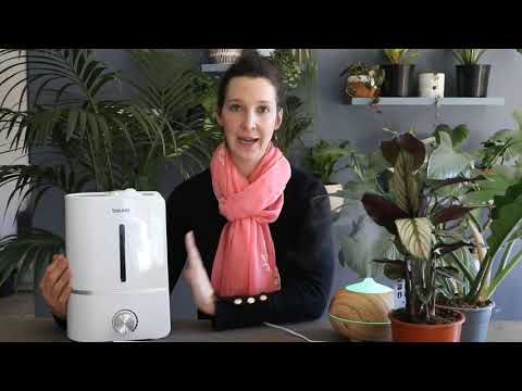 YouTube video about: How often should I use a humidifier for my plants?