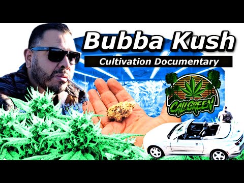 Indoor Organic -Clone to harvest documentary- you win some ,  you loose some..