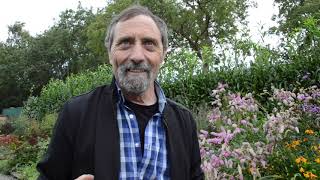 Make Plans for Your Garden in the Autumn