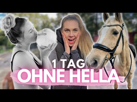 DAS passiert im STALL wenn HELLA im URLAUB ist!