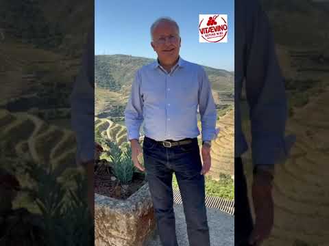 Video of Guimarães Correia
