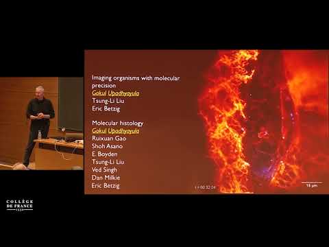 La biologie de l'information... (16) - Walter Fontana (2019-2020)