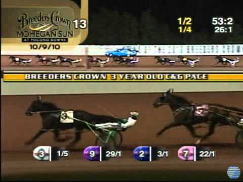 2010 Breeders Crown 3YO Male Pace - theharnessedge.com