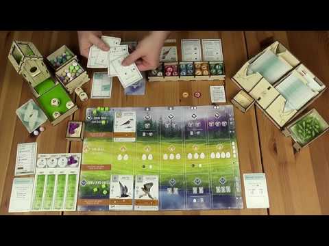 EGYSZEMÉLYES JÁTÉK: FESZTÁV + EURÓPAI MADARAK - d3meeples