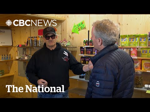 Dispensary crackdowns reignite Mi’kmaq treaty rights fight