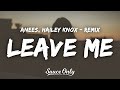 Anees Leave Me Remix Lyrics Ft Hailey Knox