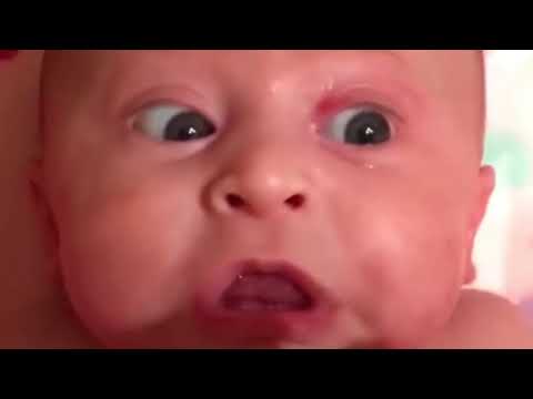 Kyrie Irving VS Stephan Curry Stick Animation