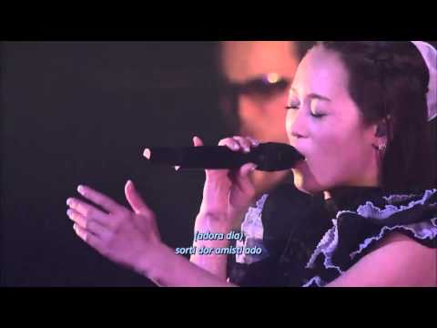 Luminous Sword (Live Ver)