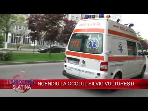 INCENDIU LA OCOLUL SILVIC VULTUREȘTI (25.06.2016)