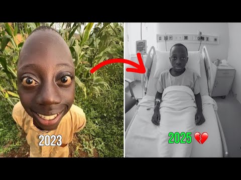 Where Are These Legendary Meme Heroes Now? 🥲