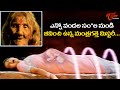 ఎన్నో వందల సం ల నుండి జీవించి ఉన్న మంత