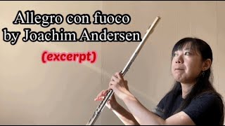 Allegro con fuoco by Joachim Andersen (ILMEA cycle 2 (2))