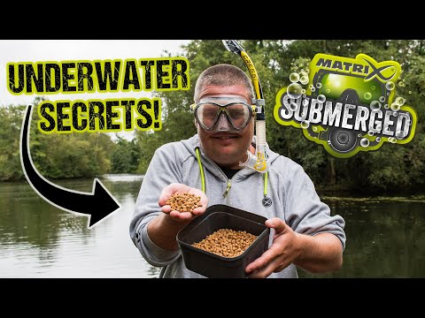 This really happens UNDERWATER! | Jamie Hughes' Pellet Tactics