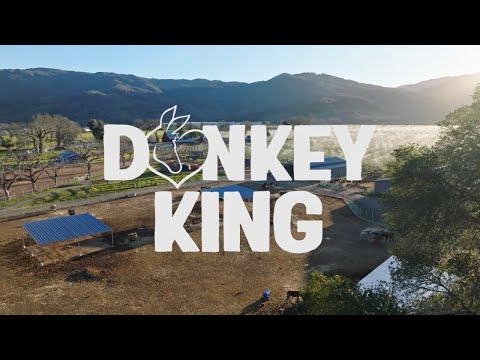Donkey King S1:E1 Hooray for Hoorah